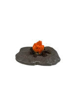 Load image into Gallery viewer, Campfire