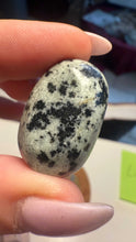 Load image into Gallery viewer, Greta Gabbro Tumbled Stone