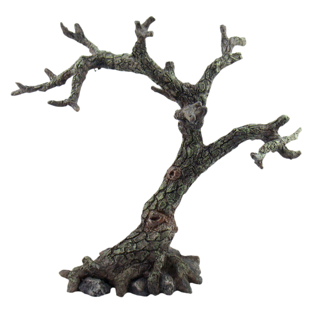 PRE-ORDER Oak Tree