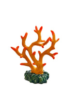 Load image into Gallery viewer, Coral