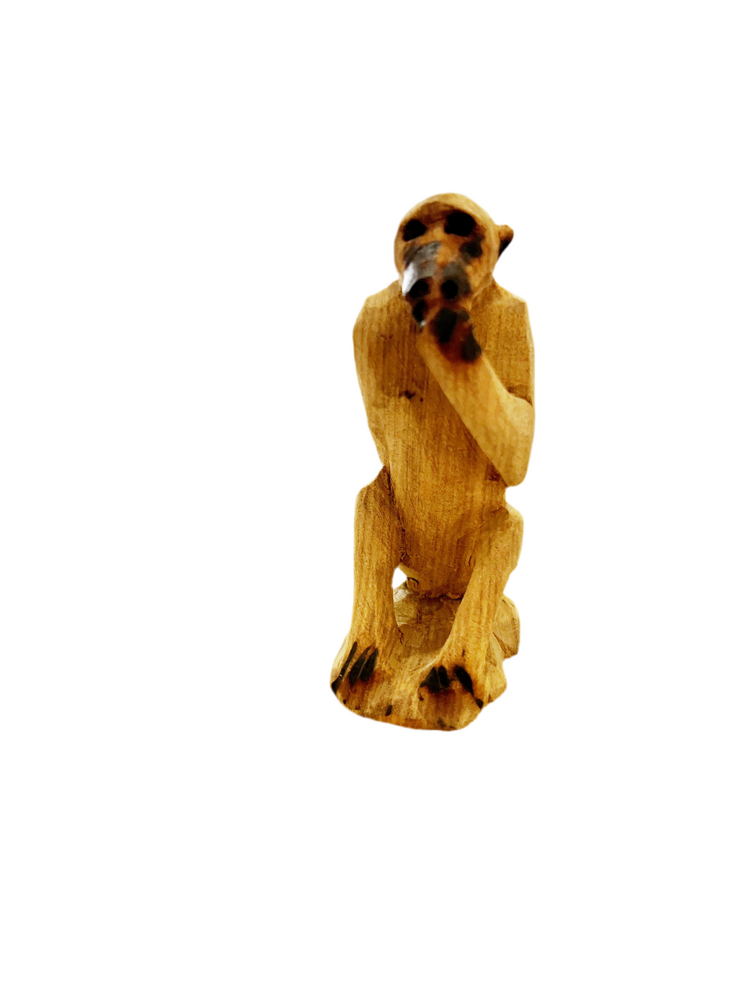 Baboon