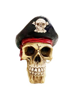 Load image into Gallery viewer, Pirate skull