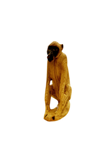Baboon