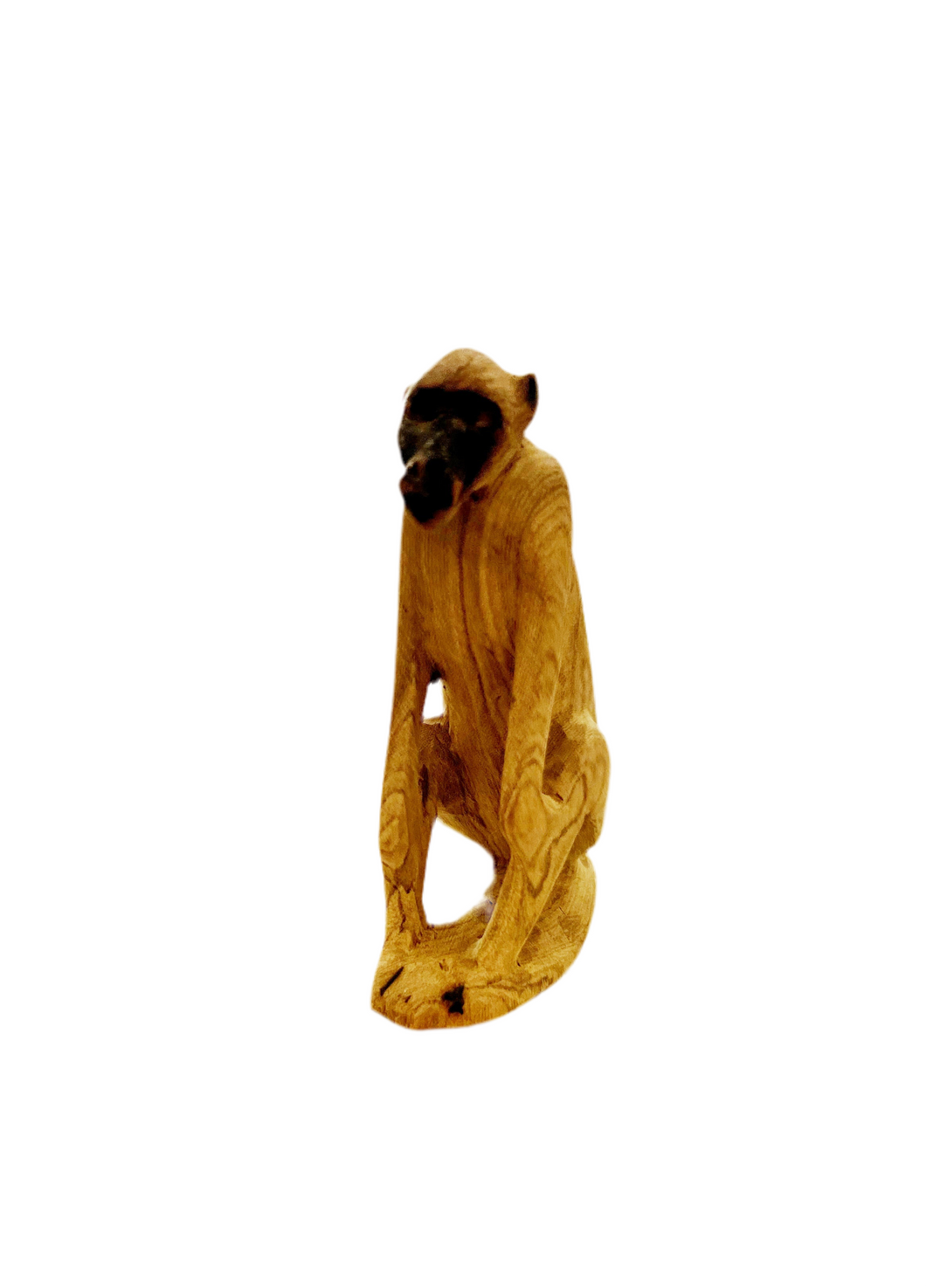 Baboon