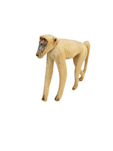 Baboon