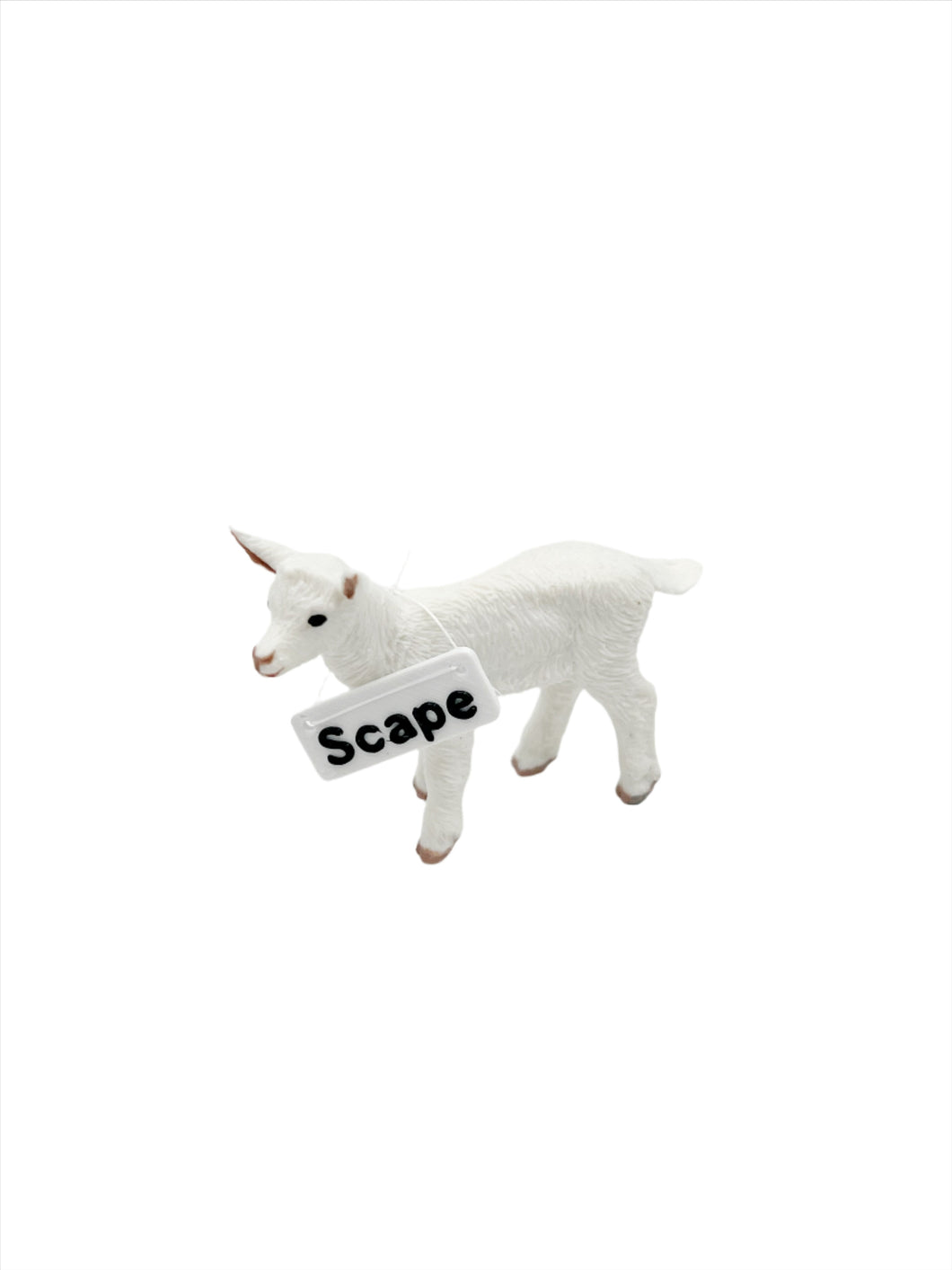 Scapegoat