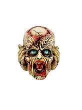 Load image into Gallery viewer, Zombie head