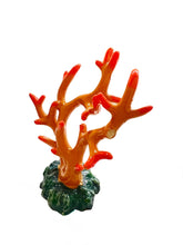 Load image into Gallery viewer, Coral