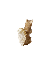 Load image into Gallery viewer, Squirrel