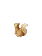 Load image into Gallery viewer, Squirrel