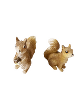 Load image into Gallery viewer, Squirrel