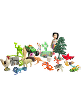 Load image into Gallery viewer, 25 miniature set