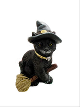 Load image into Gallery viewer, Witch cat