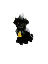 Load image into Gallery viewer, Witch cat