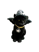 Load image into Gallery viewer, Witch cat