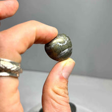 Load image into Gallery viewer, Pyrite Tumbled Stone