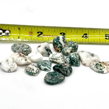 Load image into Gallery viewer, Tree Agate Tumbled Stone