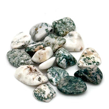 Load image into Gallery viewer, Tree Agate Tumbled Stone
