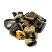 Load image into Gallery viewer, Septarian Tumbled Pocket Stone: The Dragon Stone