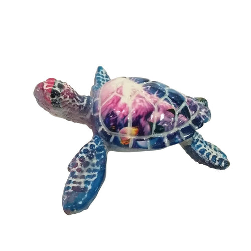 Sea Turtle