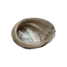 Load image into Gallery viewer, Abalone Shell