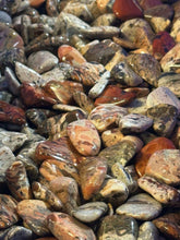 Load image into Gallery viewer, Brecciated Jasper Tumbled Stone