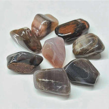 Load image into Gallery viewer, Petrified Wood Tumbled Stone