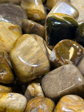 Load image into Gallery viewer, Petrified Wood Tumbled Stone