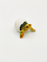 Load image into Gallery viewer, Sea turtle hatching