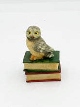 Load image into Gallery viewer, Owl on books
