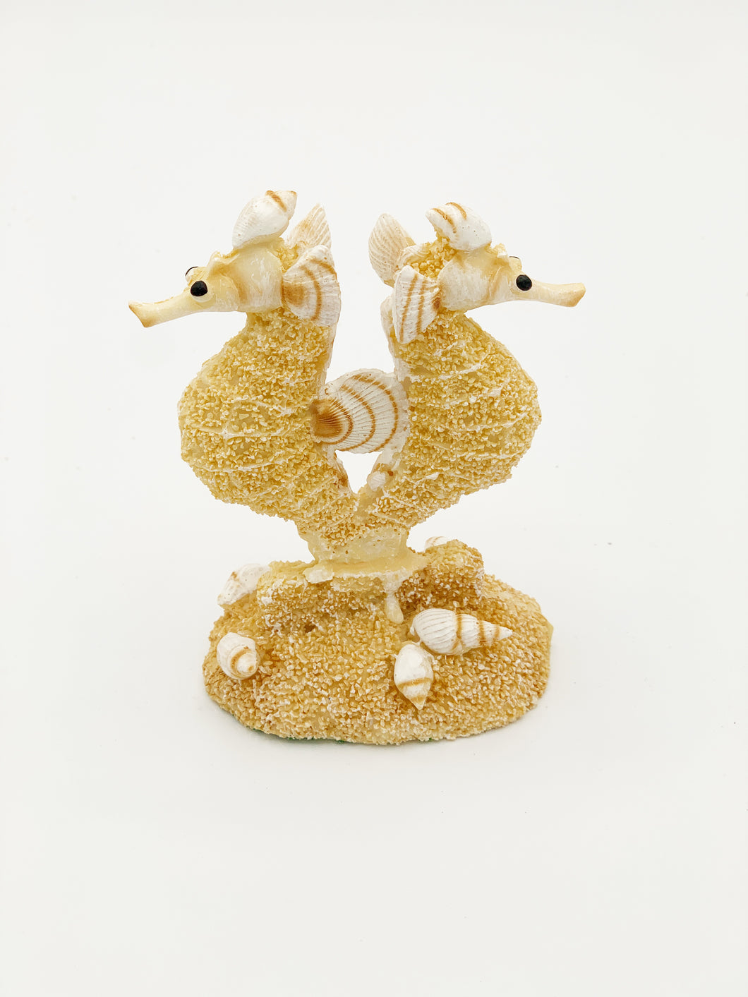 Seahorse