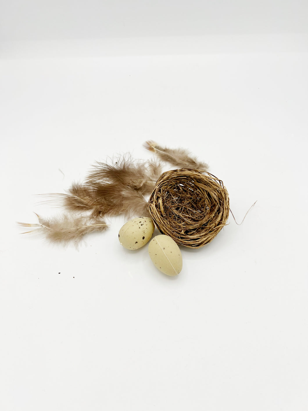 Bird nest, eggs, feather kit