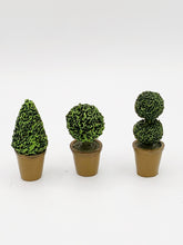 Load image into Gallery viewer, Topiary