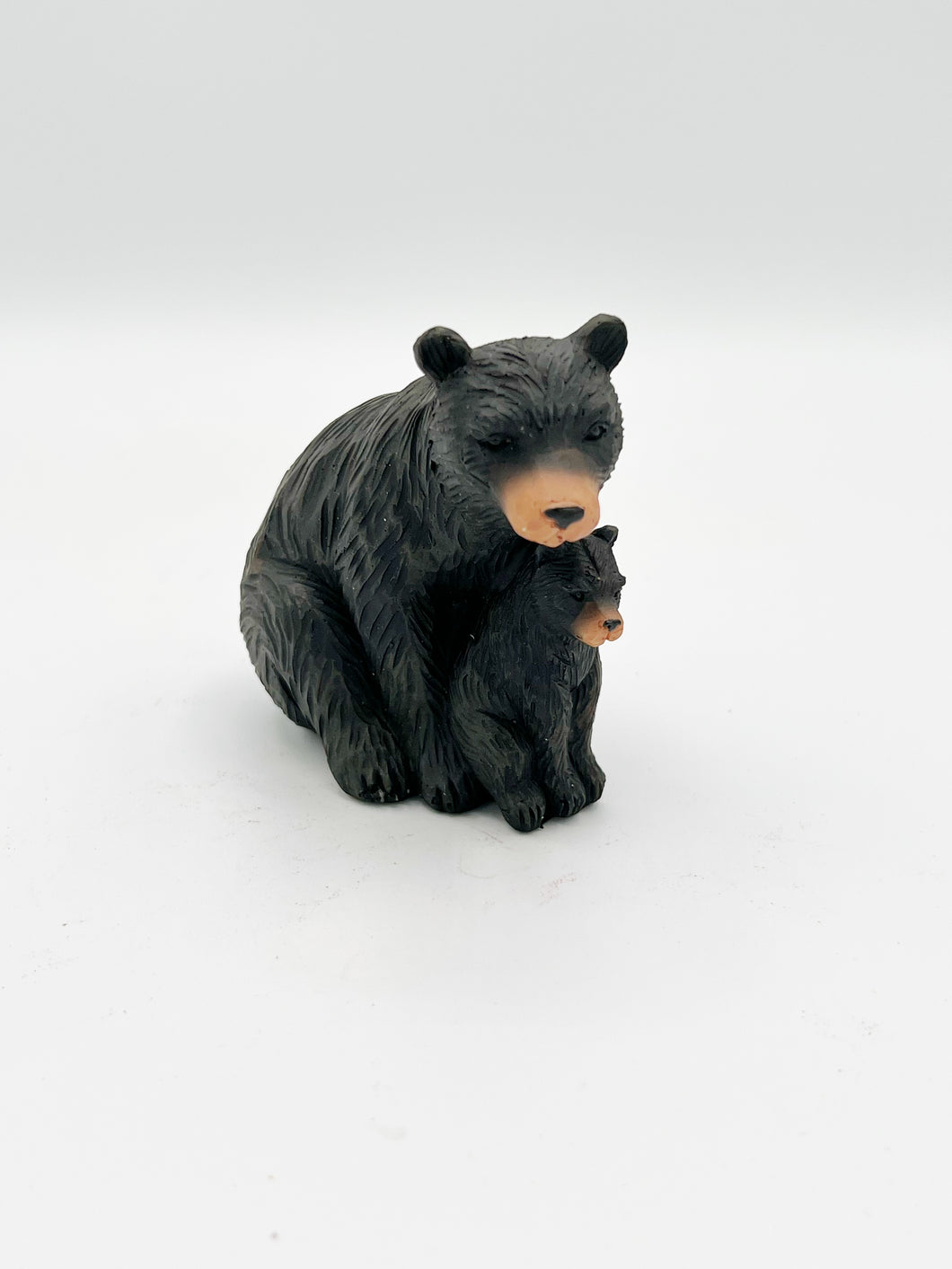 Black bear and cub