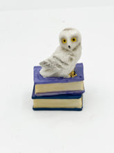 Load image into Gallery viewer, Owl on books