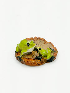 Two frogs on wood chip